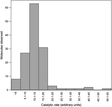 The distribution of the relative activities of 138 molecules of E. coli β-galactosidase is shown.