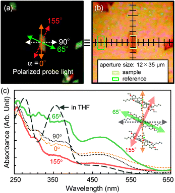 (a) POM and (b) OM images of microsheets. (c) Polarized UV-vis absorption spectral changes of a single microsheet (indicated by a yellow square in (b) as a function of polarization angle (α) of the probe light.