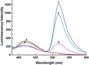 The CL spectra under different conditions: (a) luminol–H2O2–HRP; (b) luminol–H2O2–HRP + GO; (c) luminol–H2O2–HRP + (4.0 × 10−7 M) probe DNA; (d) luminol–H2O2–HRP + (4.0 × 10−7 M) probe DNA + GO; (e) luminol–H2O2–HRP + (4.0 × 10−7 M) probe DNA + (4.0 × 10−7 M) target DNA + GO.