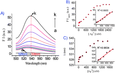 (A) Effect of different concentrations of Ag+ on the fluorescence spectra of the DNA1/DNA2/Ag+/GO system. DNA1/DNA2: 50 nM/50 nM; GO: 0.037 mg mL−1. Ag+ (from a–k, nM): 0, 20, 40, 60, 100, 200, 400, 600, 800, 1000, 1500. (B) Fluorescence intensity at the fluorescence emission peak plotted against the concentration of Ag+. The inset is the linear relationship between the fluorescence intensity recorded at the apex with an excitation wavelength of 480 nm and Ag+ concentration in the range 0–1500 nM. (C) The fluorescence emission wavelength plotted against the concentration of Ag+. The inset is the linear relationship of the Ag+ concentration to the fluorescence emission wavelength. Fluorescence intensity was recorded at the apex with an excitation wavelength of 480 nm.