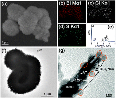 (a) Typical SEM image, (b–d) chemical element mapping data, (e) EDS, (f) TEM image and (g) HRTEM image of the Bi2S3 NCs/BiOCl sample synthesized using TAA at room temperature.