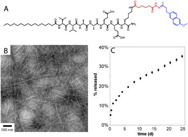 (A) Chemical structure of drug releasing PA, with the hydrazone linker shown in red and the drug (nabumetone) shown in blue. (B) conventional TEM of nabumetone-containing PA containing a hydrolysable hydrazone. (C) Profile of nabumetone release from PA gel. Reprinted with permission from ref. 75.