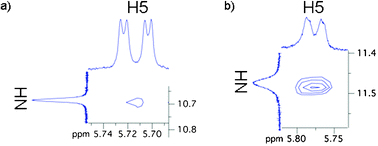 Portions of NOESY spectra of 1 in CDCl3 acquired at 400 MHz indicative of a U-quartet (a) at room temperature, (b) at −20 °C.