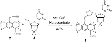 Synthesis of conjugate 1viaCu-catalyzed azide-alkyne cycloaddition.