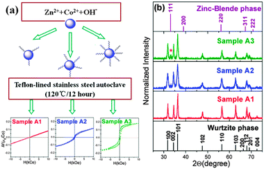 (a) The scheme of the split-batch experiment and the dependence of the magnetization at room temperature vs. the applied magnetic field (M vs. H) for the samples A1, A2, and A3, respectively. (b) X-Ray diffraction pattern of Zn0.98Co0.02O nanoparticles with different contents of oleic acid. Vertical lines indicate the diffraction peaks of the bulk wurtzite ZnO and the zinc-blende ZnO phases.