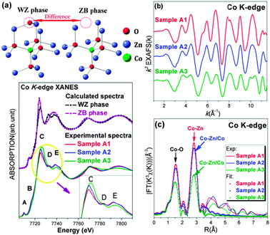 (a) Upper panel: two ZnO-phase local structures. Lower panel: a comparison of the theoretical XANES spectra at the Co K-edge of the ZB-type and the WZ-type phases and experimental spectra of different Zn0.98Co0.02O samples. The inset shows a zoom of the experimental white-line region. (b) The k-weighted EXAFS χ(k) function at the Co K-edge for the three samples. (c) Experimental Fourier Transform at the Co K-edge of EXAFS data of the Zn0.98Co0.02O samples and the corresponding fits.