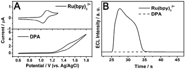 (A) Cyclic voltammograms of Ru(bpy)32+ (0.5 mM) (top) and DPA wires (bottom) in 0.20 M, pH 8.0, PBS containing 0.10 mM TPrA. Scan rate, 100 mV s−1. Scan range, 0.6 to 1.30 V (top) and 0.6 to 1.8 V (bottom). (B) ECL intensities of Ru(bpy)32+ and pure DPA wires obtained by stepping the potential between 0.6 and 1.30 V. Other experimental conditions are consistent with (A).