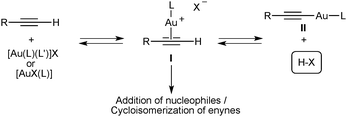 General pathways in the gold(i)-activation of terminal alkynes.