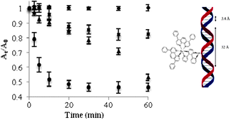 Selective CT-DNA precipitation experiment following incubation at RT in the dark (◆), incubation at 37 °C in the dark (■), photolysis, λirr ≥ 590 nm (▲) and photolysis, λirr = 455 nm (●). The binding site was determined to be approximately 32 Å.