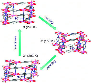 The temperature-induced, hysteretic SCSC structural transformation of 3.