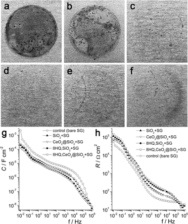 (a) Photograph of the bare AA2024 substrate after 3 days immersion in 1 M NaCl, after rinsing with water. (b–f) Images of the coated samples after 7 days immersion in 1 M NaCl, after rinsing with water. Key: b: control/bare sol–gel (SG), c: SiO2 + SG, d: CeO2@SiO2 + SG, e: 8HQ,SiO2 + SG, f: 8HQ,CeO2@SiO2 + SG. (g) Capacitance vs. frequency for the coated Al substrates after 5 days. (h) Resistance vs. frequency for the samples after 5 days.