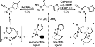 Mechanistic rationale for arylation v. benzylation.