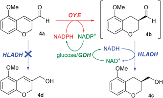 Cascade synthesis of 4c by coupling of an OYE with HLADH.