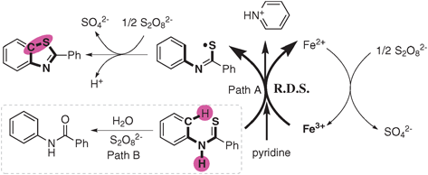 Proposed mechanism.