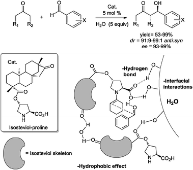 Proposed transition state for aldol reaction in the presence of water.11h