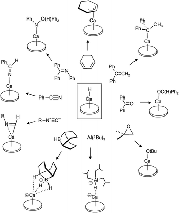 Reactions of the Ca–H functionality (for simplicity represented as a monomer).