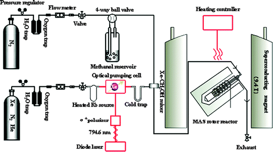 Sketch of the experimental setup for in situ continuous-flow MAS NMR coupled with hyperpolarized 129Xe. (Adapted with permission from ref. 18. Copyright 2009 American Chemical Society).