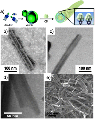 (a) Schematic representation of the assembly of 24; (b–d) TEM images of the NT formed by 24 in the presence of CDs; (e) SEM image of the same sample. (Adapted with permission fromref. 113. Copyright 2006, National Academy of Sciences.)