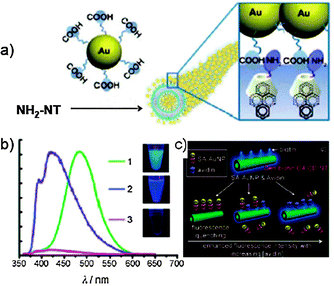 (a) Schematic representation of the assembled hybrid between Au-NPs and NH2-functionalised NTs; (b) PL spectra of vesicles of dendron 24 (green line), NH2-NTs (blue line) and Au-NPs-NTs (pink line); (c) schematic representation of the inhibition assay on biotin-NTs. (Adapted with permission fromref. 117. Copyright 2008, Wiley-VCH.)