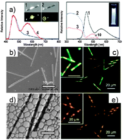 (a) Spatially resolved spectra recorded by local excitation at the middle (blue line) and end (red line) stripes of a single micro-rod, PL (black line) and excitation (blue and red dotted lines) spectra of a colloidal suspension of triblock micro-rods (λexc = 450, 560 nm); (b) SEM and (d) TEM images of the micro-rods; (c and e) fluorescence microscopy images excited with unfocused UV (λ = 330–380 nm) and blue light (λ = 460–490 nm). (Adapted with permission fromref. 133. Copyright 2010, American Chemical Society.)