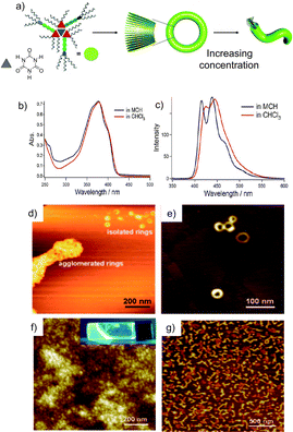 (a) Schematic representation of the assembly of 34 in the presence of CA; (b and c) UV-Vis and PL spectra of 34 (1 × 10–5 M, λexc = 349 nm) in CHCl3 (red curve) and MCH (blue curve) at 20 °C; (d–f) AFM images of [343·CA] spin-coated from a solution in MCH (2 × 10−4 M); (g) AFM height image of [343·CA] spin-cast from a solution in MCH (5 × 10−4 M). (Adapted with permission fromref. 154. Copyright 2010, Wiley-VCH.)