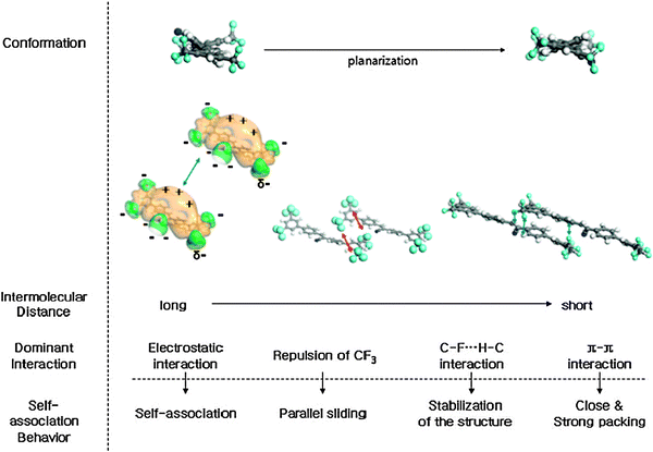 Schematic representation of the conformational changes, dominant interactions, and the self-association behaviour of molecules 19 with varying the intermolecular distances. (Adapted with permission fromref. 93. Copyright 2004, American Chemical Society.)