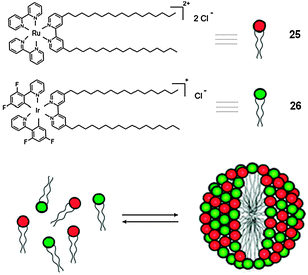 Structure and schematic representation of the self-organisation process towards the formation of the MSs containing surfactants 25 and 26. (Adapted with permission fromref. 122. Copyright 2008, American Chemical Society.)