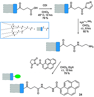 Synthetic scheme for the amide dendrons with focal pyrene 24.