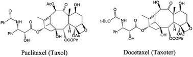 Structures of the two main taxoids used in cancer chemotherapy.