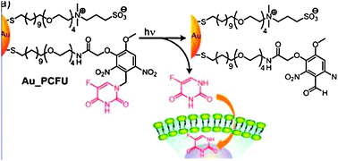 Photoregulation of fluorouracil. Reprinted with permission of the American Chemical Society (ref. 83, Rotello's group).