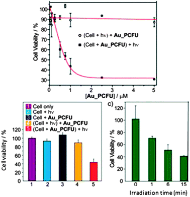 Cytotoxicity on MCF-7 cancer cells of AuNPs functionalized with fluorouracil. Reprinted with permission of the American Chemical Society (ref. 83, Rotello's group).