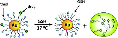 
            Intracellular ligand exchange between AuNP-coordinated thiolates and glutathione. Reprinted with permission of the American Chemical Society (ref. 85, Rotello's group).