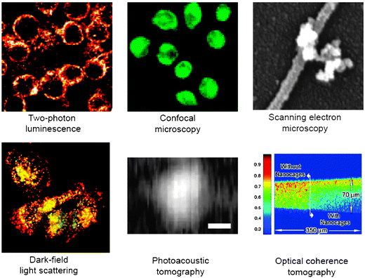 AuNP imaging using various techniques. Reprinted with permission of Dove Medical Press (ref. 3, Cai's group).