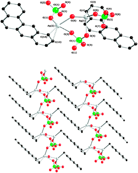 Solid state structure of [Ag2(ban)(ClO4)2(H2O)] with selected atom labelling (up) and view of the multilayer framework depicted on the ab plane (down).