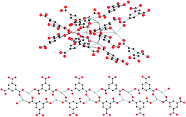 Structure of [{Ag(H2btc)2}{Ag2(Hbtc)}]n showing the A units Ag8(Hbtc)12/3 (up) and the B units Ag2(H2btc)2 (down).