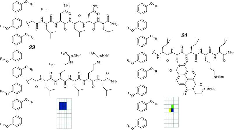 Octiphenyl ion channels and activity grids.