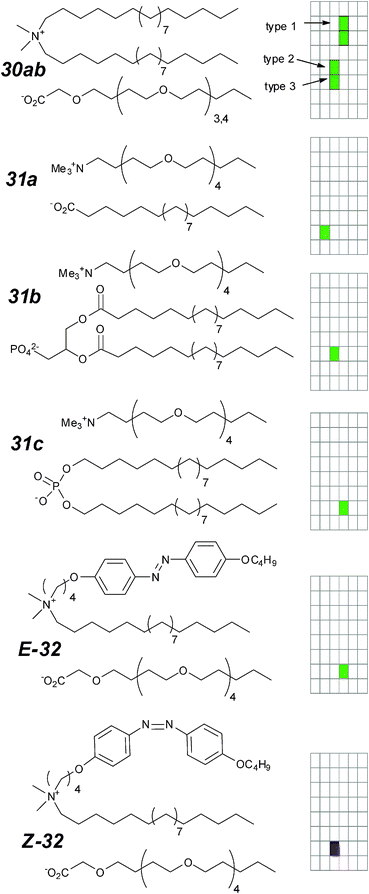 Ion-pair ion channels and activity grids.