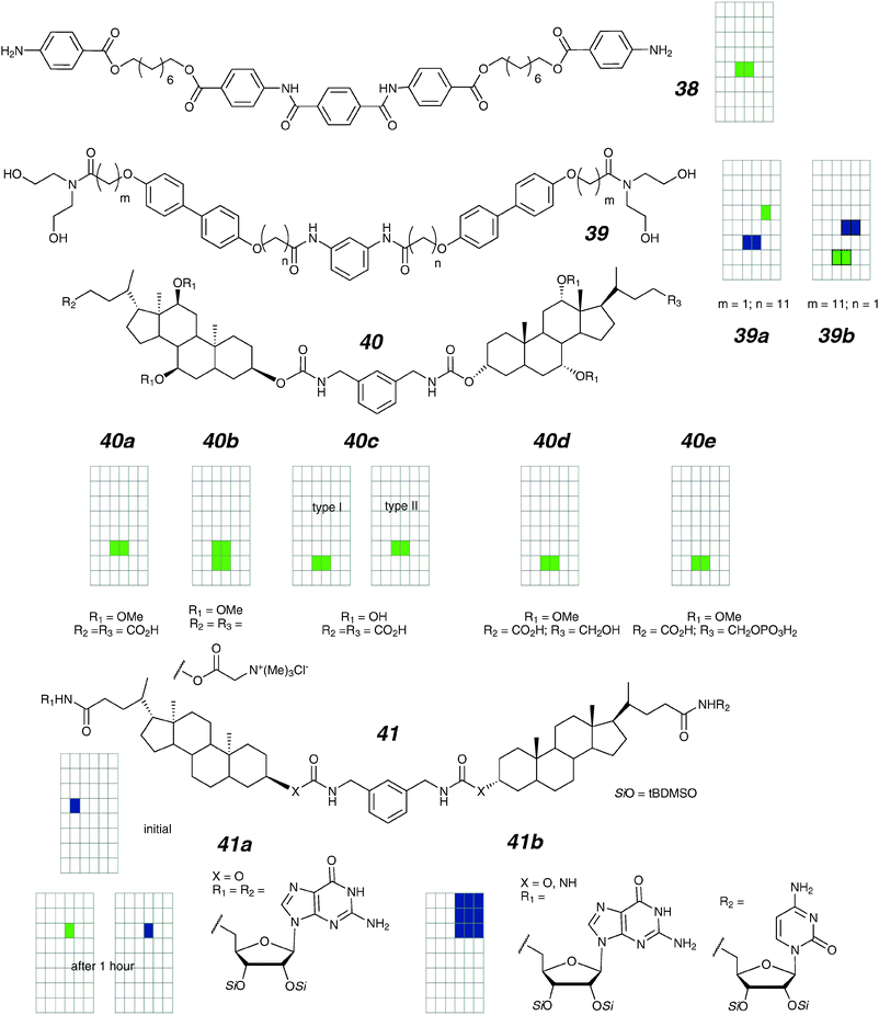 
              meta-Phenyl-linked channels and activity grids.