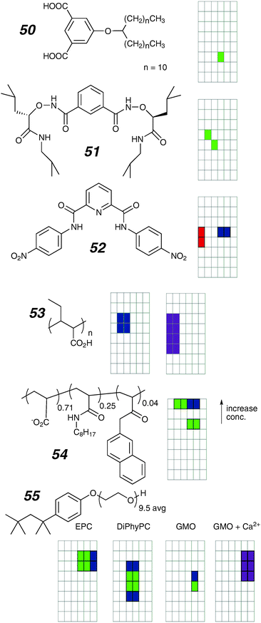 Linear ion channels and activity grids.