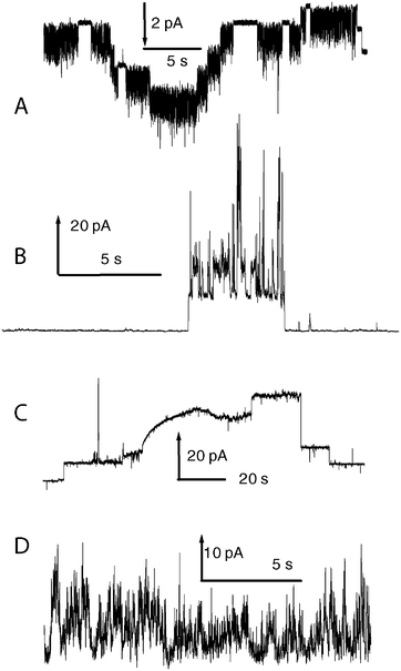 Representative traces showing the range of observed signals from voltage-clamp experiments.