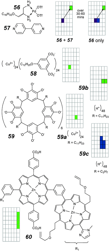 Ion channels with complex topologies and activity grids.