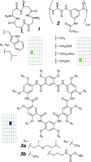 Peptidic and amidic macrocycles.