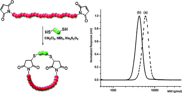 Schematic representation of the synthesis of a stereoregular cyclic poly(lactide) using dithiolethane as cyclization agent in a MA approach (left) and SEC traces of (a) linear and (b) cyclic PLA (right) [adopted from ref. 112].