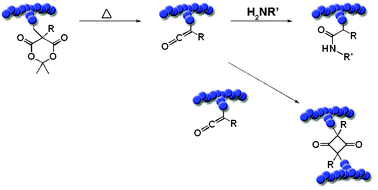 Schematic representation of the modification of Meldrum's acid containing copolymers obtained by ROMP and ATRP.138