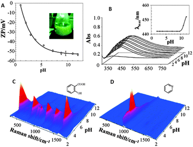 Variation of the ζ potential (A) and localized surface plasmon resonance (B) of citrate reduced silver sols as a function of solution pH. Insets in the surface plasmon spectra show the evolution of the absorption maximum as a function of pH. SERS spectra of salicylic acid (C) and pyridine (D) as a function of pH. Adapted with permission from ref. 24. Copyright 2005 the American Chemical society.