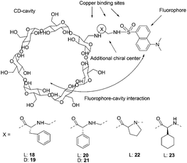 Structures of cyclodextrins 18–23, and structural elements considered in the design of enantioselective cyclodextrins.