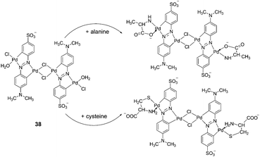 Reaction of 38 with different α-amino acids.