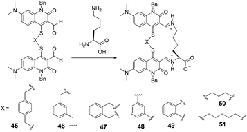 The reaction mechanism of 45–51 with lysine.