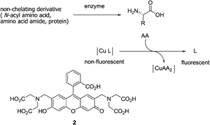 Principle of a fluorescence assay for amino acids using copper-ligand complexes.