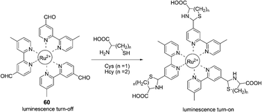 The mechanism for the reaction for 60 and Hcy/Cys.